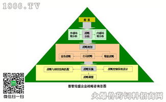 右腦思維 戰(zhàn)略咨詢中的創(chuàng)新引擎與競(jìng)爭(zhēng)優(yōu)勢(shì)