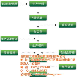 益豐精益 以財(cái)務(wù)咨詢?yōu)榛?，重塑安徽人力資源管理新格局
